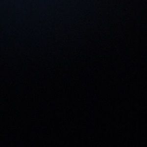 Meet your Posher, Delaney